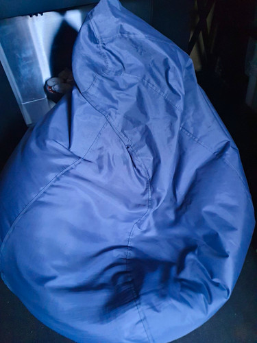 Bgrp large grey bean - large,